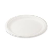 Talíř kulatý BIO cukrová třtina O 26 cm (50 ks)